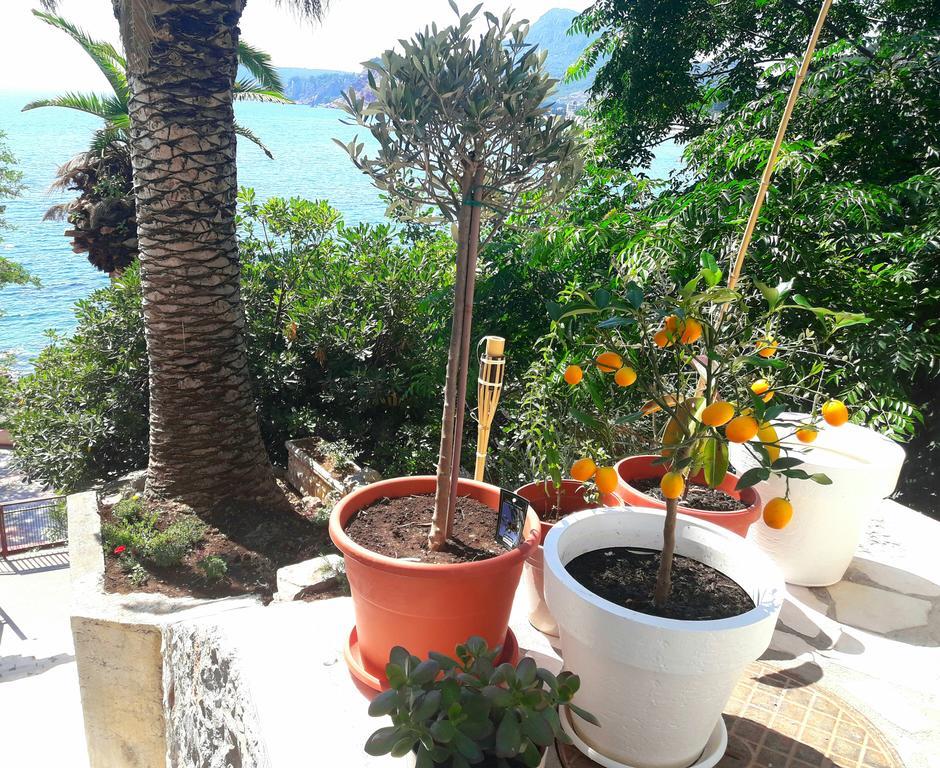 Two Palms Apartment 苏托莫雷 外观 照片